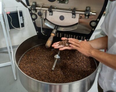 goldstruck coffee roasting goldstruck coffee roasting